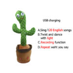 Dancing Cactus